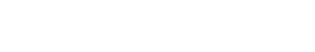 White Village Landing logo with fern leaf